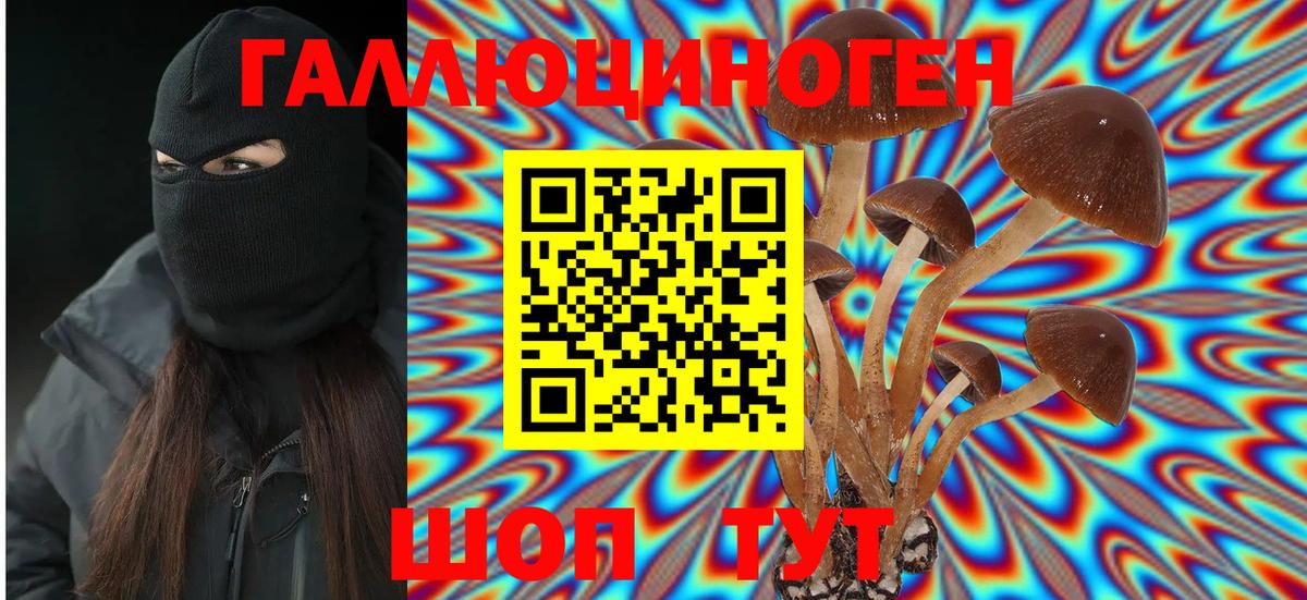 Галлюциногенные грибы Psilocybine cubensis  Вход с VPN  Лянтор 